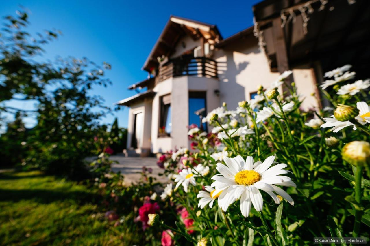 Casa Dora Hotel Suceava Exterior photo