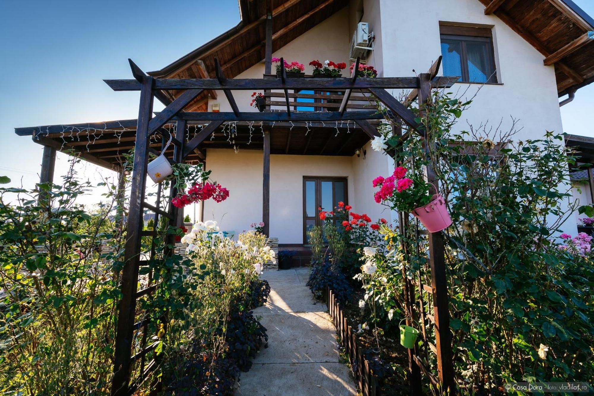 Casa Dora Hotel Suceava Exterior photo